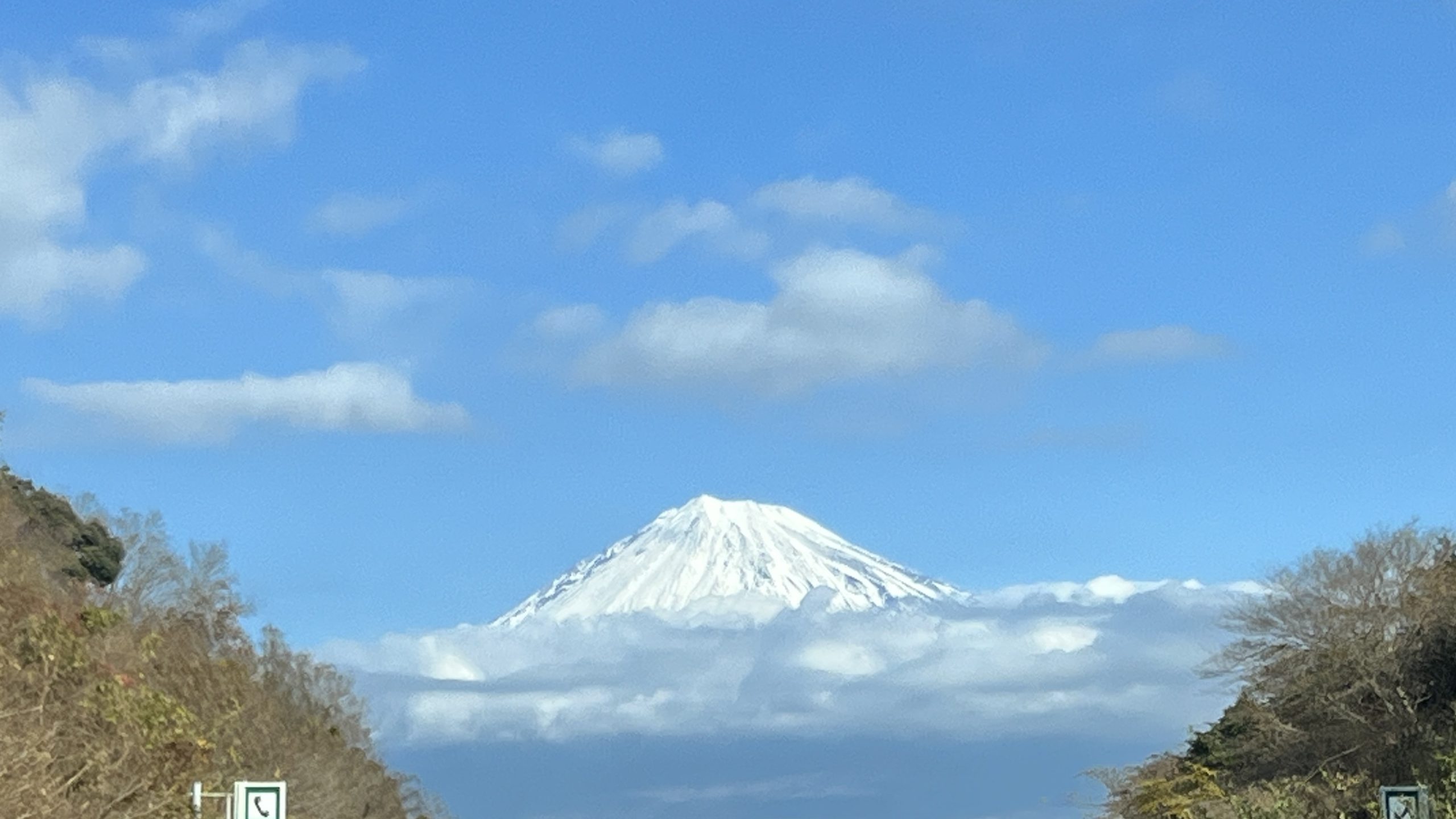 2022年、明けましておめでとうございま〜す🎍