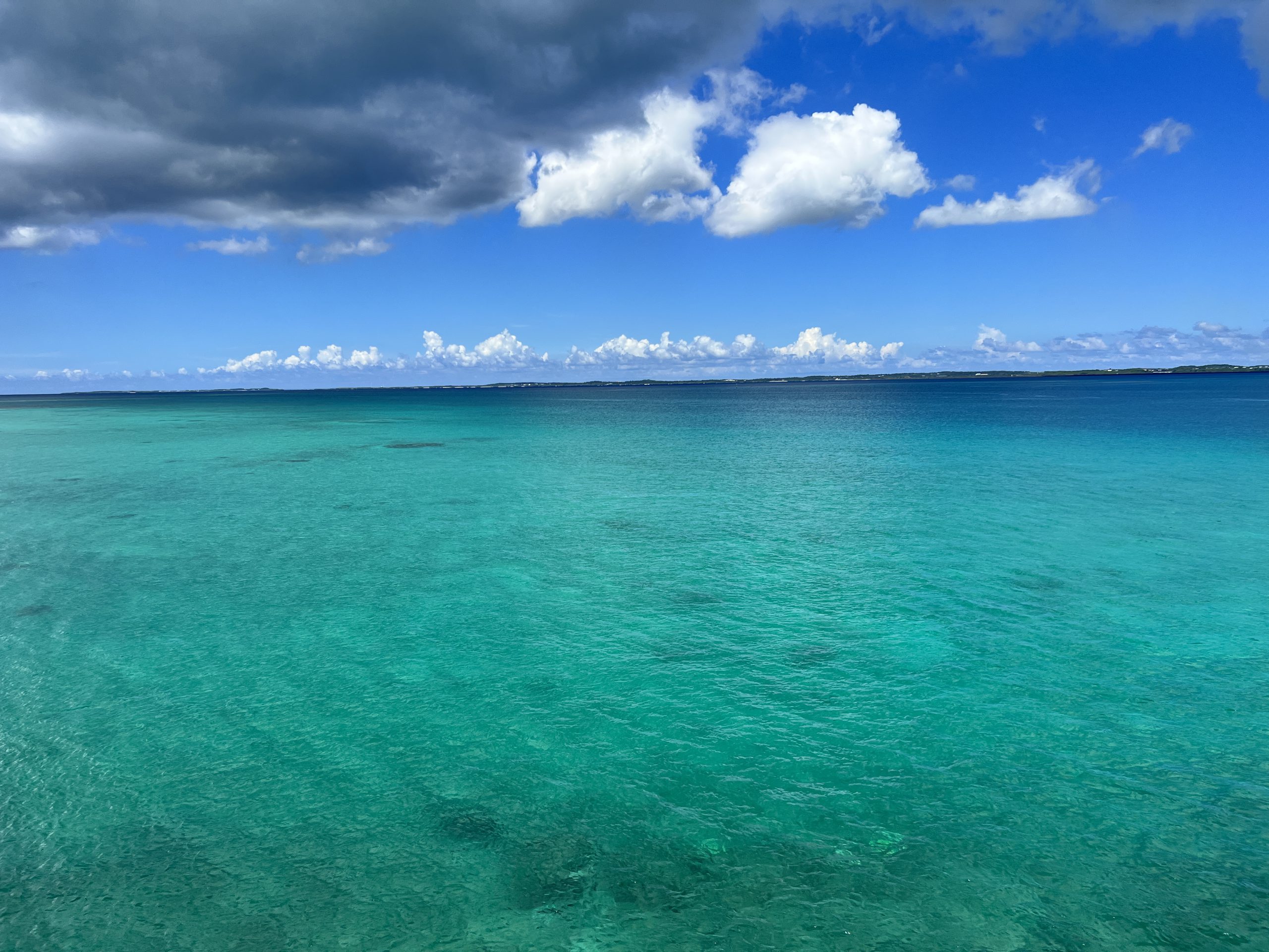 夏休み🏄🏝🐋