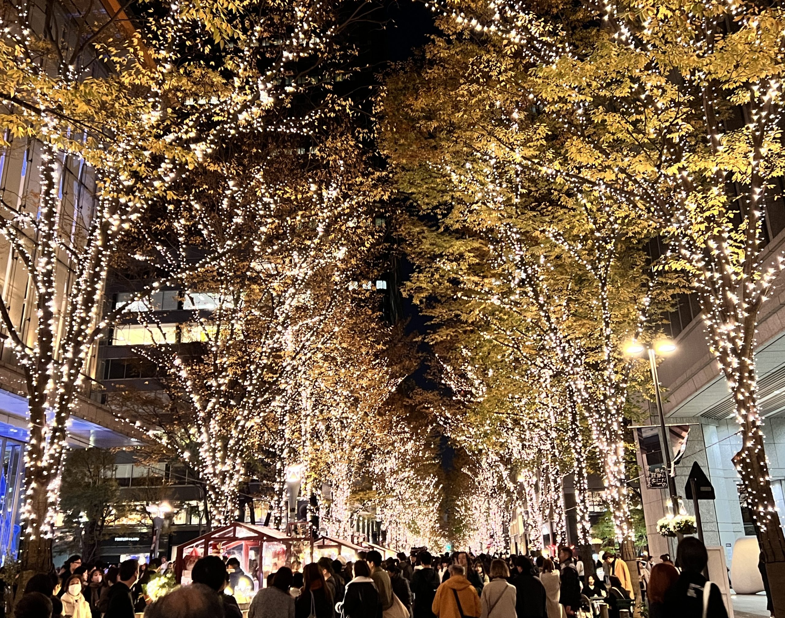 あっという間の一年💋