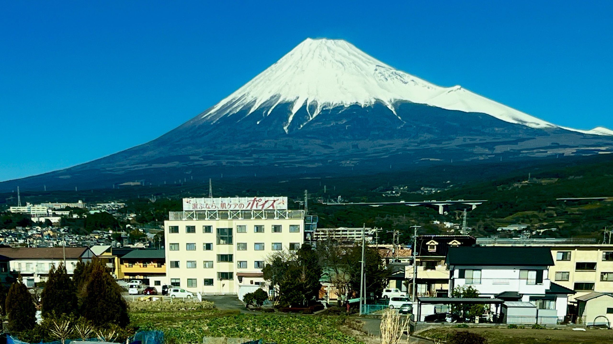 Oh!Show!が✌️🎍