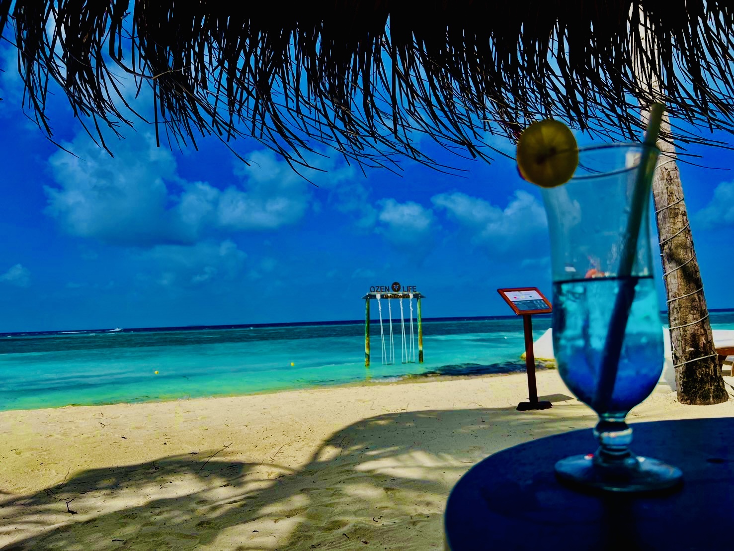 楽園モルディブ🇲🇻&テレビ出演告知📺